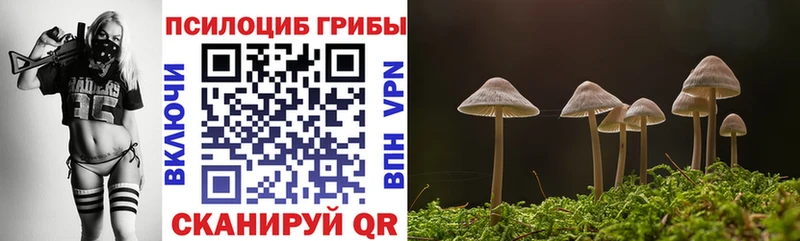 Псилоцибиновые грибы Psilocybine cubensis Донской