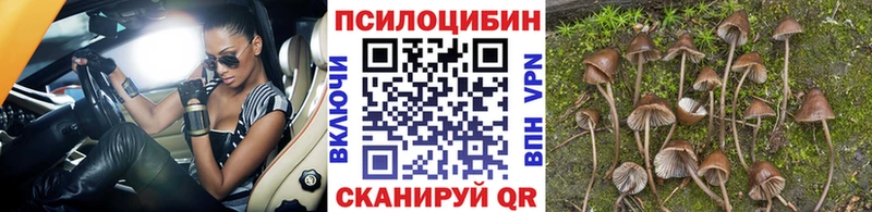 Галлюциногенные грибы MAGIC MUSHROOMS Купить Донской